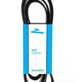 Correia Lisa Mwm/ford