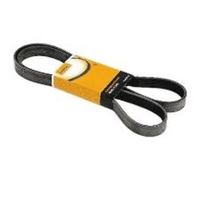 Correia Alternador Vw