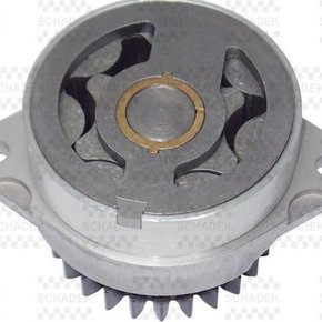 Bomba Oleo Motor Mwm - X 12