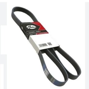 Correia 8pk2125 Sc - Serie 5