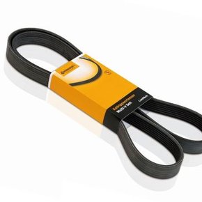 Correia  Auto Poly V 10pk2475 Rc