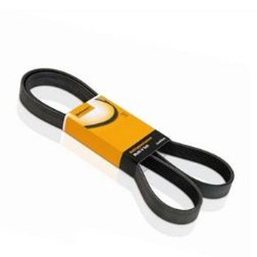 Correia 8pk1280 Poli V